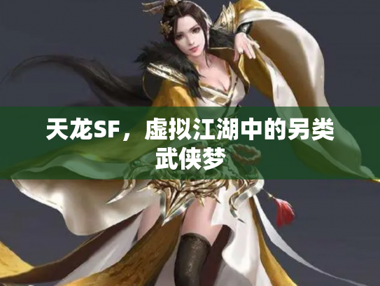 天龙SF，虚拟江湖中的另类武侠梦