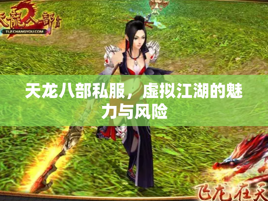 天龙八部私服，虚拟江湖的魅力与风险