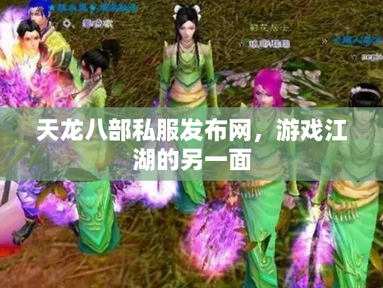 天龙八部私服发布网，游戏江湖的另一面