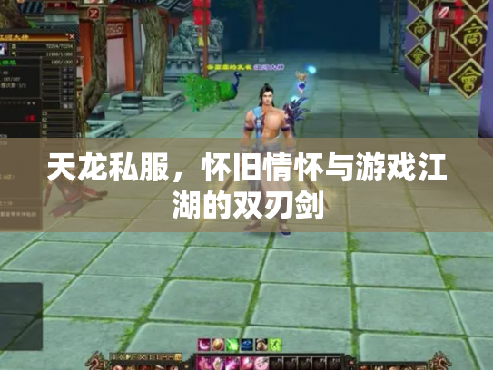 天龙私服，怀旧情怀与游戏江湖的双刃剑