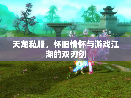 天龙私服，怀旧情怀与游戏江湖的双刃剑
