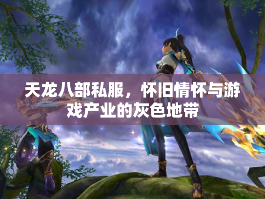 天龙八部私服，怀旧情怀与游戏产业的灰色地带