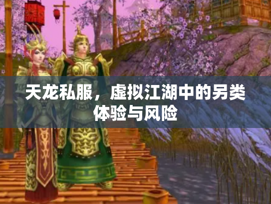 天龙私服，虚拟江湖中的另类体验与风险