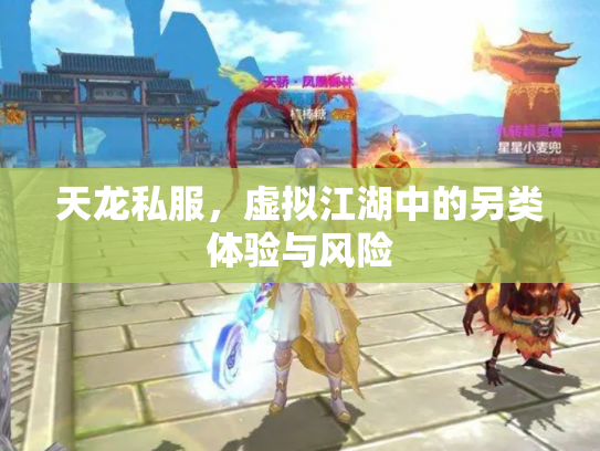 天龙私服，虚拟江湖中的另类体验与风险