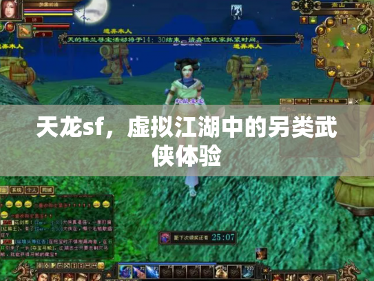 天龙sf，虚拟江湖中的另类武侠体验