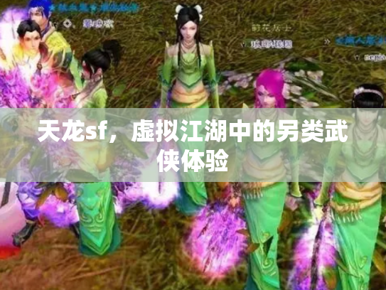 天龙sf，虚拟江湖中的另类武侠体验