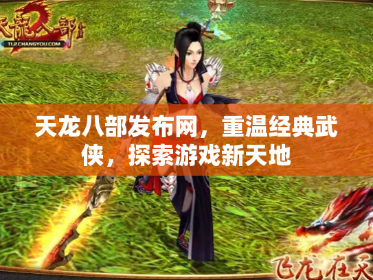 天龙八部发布网，重温经典武侠，探索游戏新天地