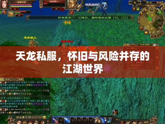 天龙私服，怀旧与风险并存的江湖世界
