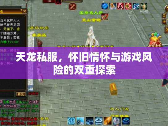天龙私服，怀旧情怀与游戏风险的双重探索