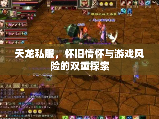 天龙私服，怀旧情怀与游戏风险的双重探索