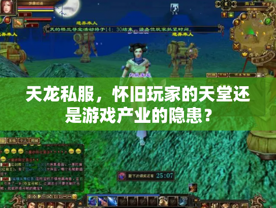 天龙私服，怀旧玩家的天堂还是游戏产业的隐患？