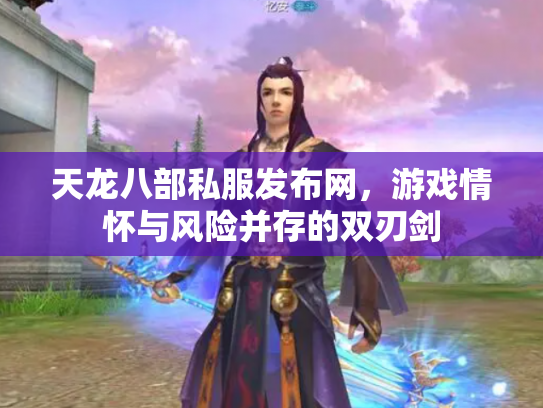 天龙八部私服发布网，游戏情怀与风险并存的双刃剑