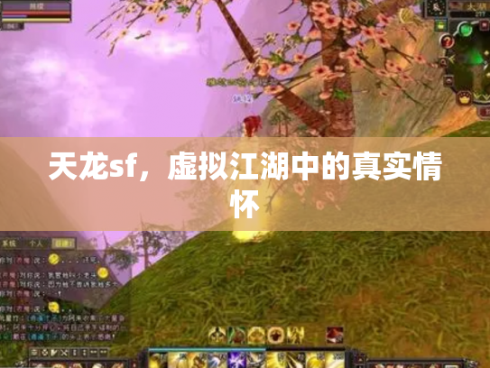 天龙sf，虚拟江湖中的真实情怀