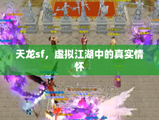 天龙sf，虚拟江湖中的真实情怀