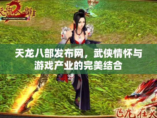 天龙八部发布网，武侠情怀与游戏产业的完美结合