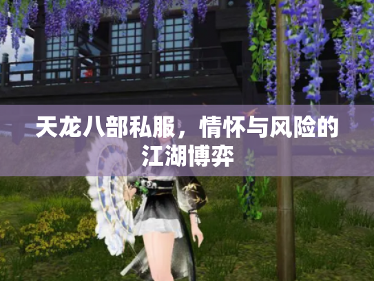 天龙八部私服，情怀与风险的江湖博弈