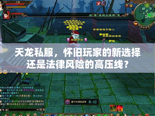 天龙私服，怀旧玩家的新选择还是法律风险的高压线？