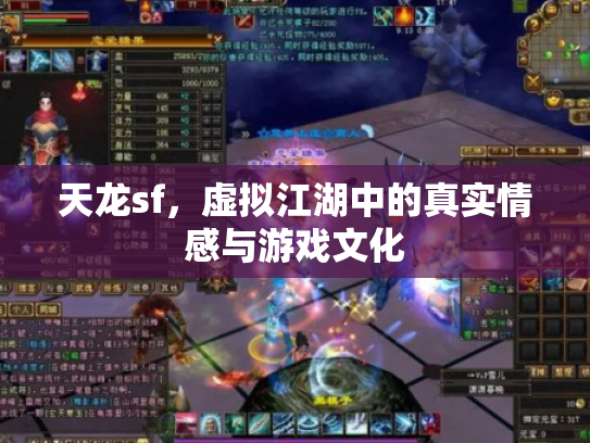 天龙sf，虚拟江湖中的真实情感与游戏文化
