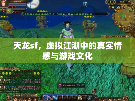 天龙sf，虚拟江湖中的真实情感与游戏文化