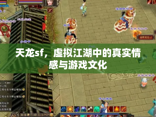 天龙sf，虚拟江湖中的真实情感与游戏文化