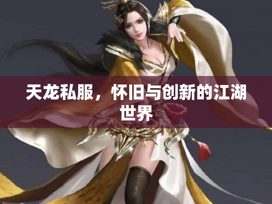 天龙私服，怀旧与创新的江湖世界