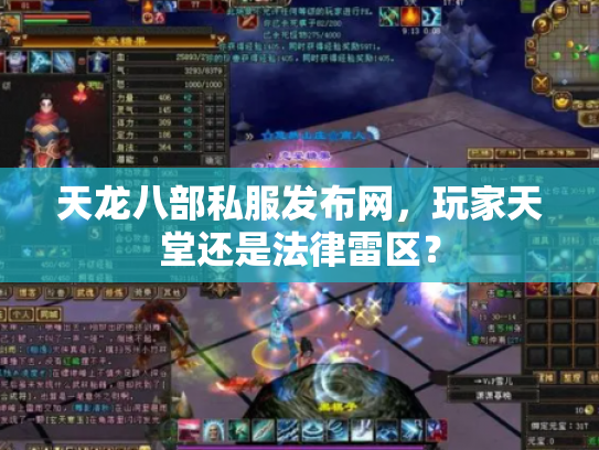 天龙八部私服发布网，玩家天堂还是法律雷区？