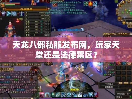 天龙八部私服发布网，玩家天堂还是法律雷区？
