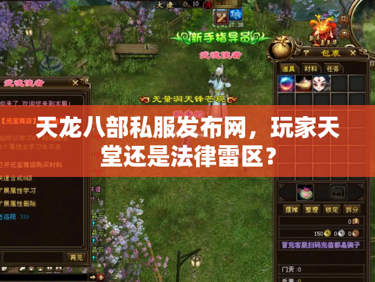 天龙八部私服发布网，玩家天堂还是法律雷区？
