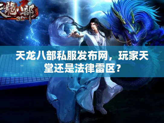 天龙八部私服发布网，玩家天堂还是法律雷区？