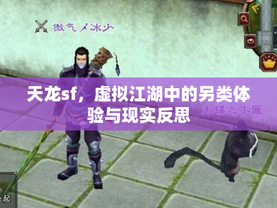 天龙sf，虚拟江湖中的另类体验与现实反思
