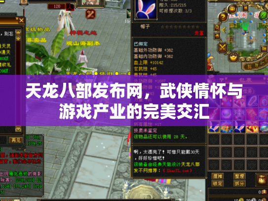 天龙八部发布网，武侠情怀与游戏产业的完美交汇