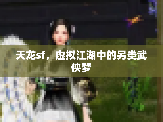 天龙sf，虚拟江湖中的另类武侠梦