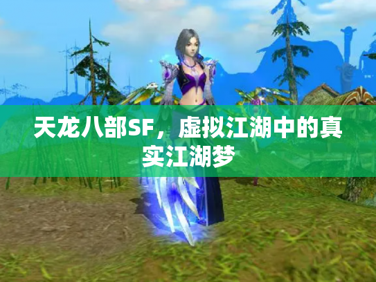 天龙八部SF，虚拟江湖中的真实江湖梦