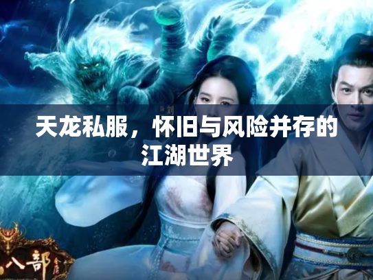 天龙私服，怀旧与风险并存的江湖世界