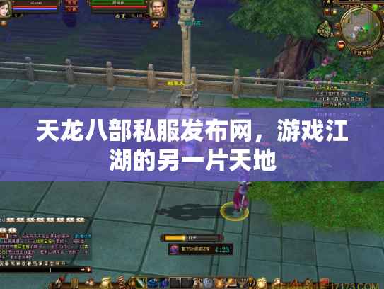 天龙八部私服发布网，游戏江湖的另一片天地