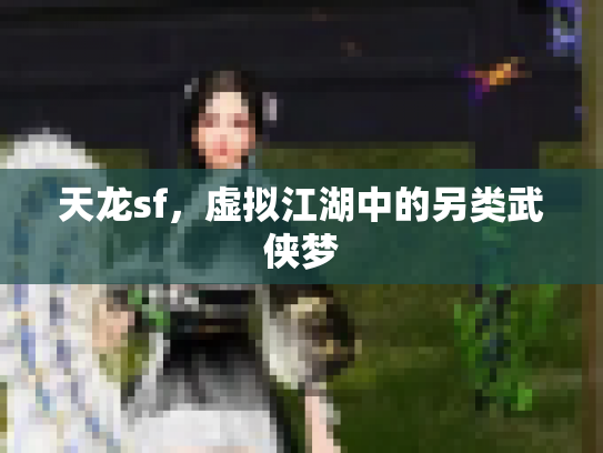 天龙sf，虚拟江湖中的另类武侠梦