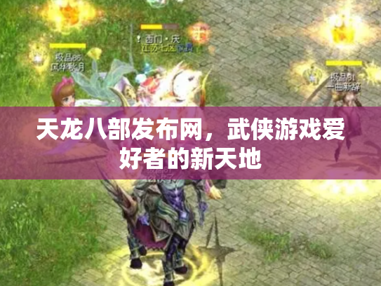 天龙八部发布网，武侠游戏爱好者的新天地