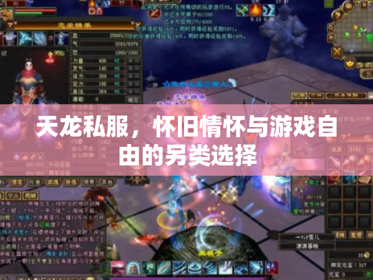 天龙私服，怀旧情怀与游戏自由的另类选择