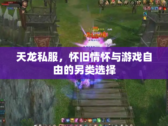 天龙私服，怀旧情怀与游戏自由的另类选择