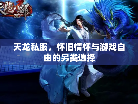 天龙私服，怀旧情怀与游戏自由的另类选择