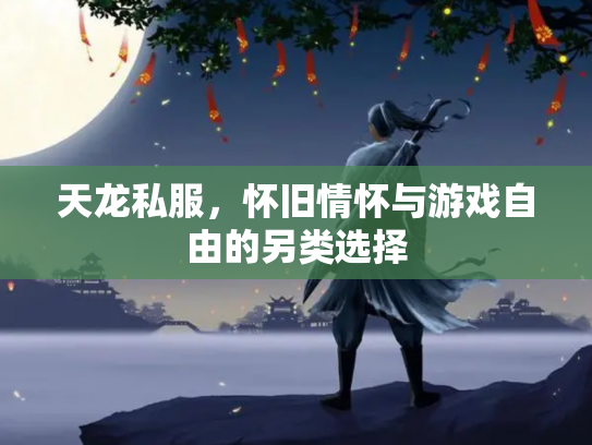 天龙私服，怀旧情怀与游戏自由的另类选择