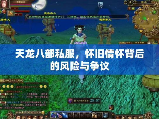 天龙八部私服，怀旧情怀背后的风险与争议