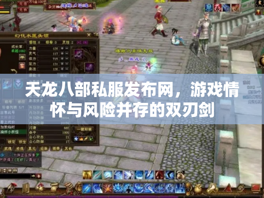 天龙八部私服发布网，游戏情怀与风险并存的双刃剑
