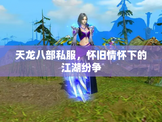 天龙八部私服，怀旧情怀下的江湖纷争