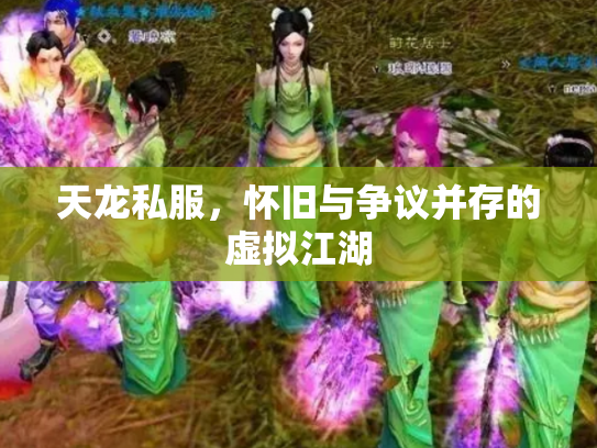 天龙私服，怀旧与争议并存的虚拟江湖