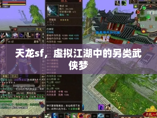 天龙sf，虚拟江湖中的另类武侠梦