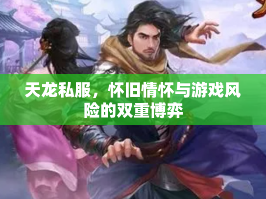 天龙私服，怀旧情怀与游戏风险的双重博弈