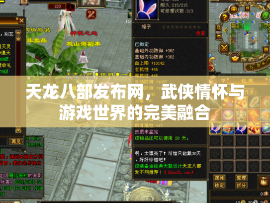 天龙八部发布网，武侠情怀与游戏世界的完美融合