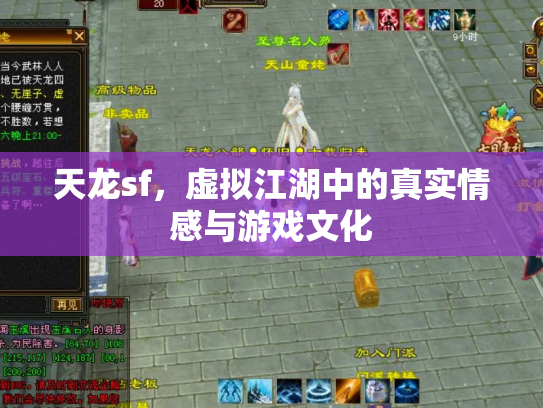 天龙sf，虚拟江湖中的真实情感与游戏文化