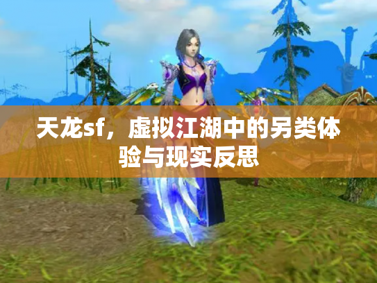 天龙sf，虚拟江湖中的另类体验与现实反思